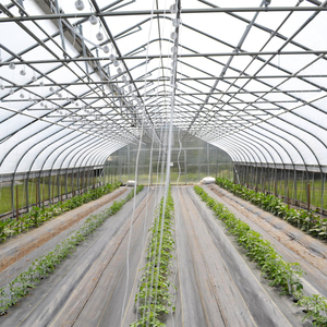 Grande Serre Poly Couche Unique Personnalisable Couverture Transparente Fleur Conception Solaire Agriculture <span class=keywords><strong>Potager</strong></span> Jardin Hydroponique - Product Image 6