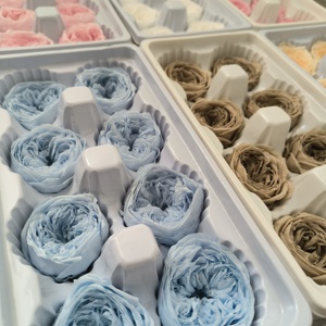 Top Qualité Éternel Réel Préservé Austin Fleurs <span class=keywords><strong>Rose</strong></span> David Austin Préservé Austin Fleur pour DIY Artisanat Bouquet <span class=keywords><strong>De</strong></span> Fleurs Sèches - Product Image 2