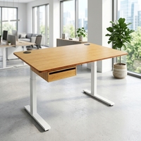 Table d'ordinateur en bambou de qualité supérieure, réglable en hauteur, bureau en bambou massif, bureau debout Ecomax