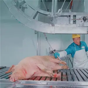 Auto Hog Abattoir Machinery For Pork Slaughter House Meat Process Butchery Production