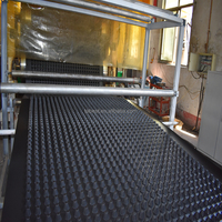 Tapis de drainage en PP 2 m HDPE, plante artificielle de 30mm, bâche de drainage, toit de jardin, géo, prix