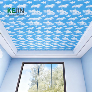 Panel <span class=keywords><strong>de</strong></span> Techo <span class=keywords><strong>de</strong></span> <span class=keywords><strong>PVC</strong></span> Satinado Azul <span class=keywords><strong>Cielo</strong></span>, Diseño Falso, Tablero <span class=keywords><strong>de</strong></span> Techo <span class=keywords><strong>de</strong></span> <span class=keywords><strong>PVC</strong></span>, Lambris <span class=keywords><strong>de</strong></span> <span class=keywords><strong>PVC</strong></span>, Faux Plafond, Tiras <span class=keywords><strong>de</strong></span> Techo - Product Image 1