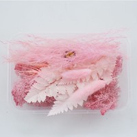 Kerajinan Kotak DIY Buatan Tangan, Hadiah Bunga Kering Awet, Bahan Resin, Kipas Bulat, Kartu Ucapan, Bunga Asli Alami Abadi Selamanya