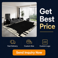 Tapis de salon noir de luxe neuf, premium, sans lavage, essuyable, pour canapé, table basse, chambre à coucher, résistant aux taches