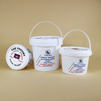 Emballage de yaourt personnalisé avec logo, écologique, à double paroi, résistant au froid, 250 ml, 300 ml, 400 ml, 500 ml, en plastique, inviolable