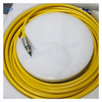 Câble fibre laser de haute qualité pour Source laser Raycus Max IPG 50/100/200Um 15/20/25M