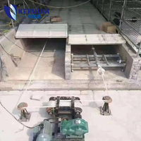 Grattoir à fumier de porc prix d'usine en Chine système de grattoir à fumier de volaille pour ferme avicole pour l'alimentation animale