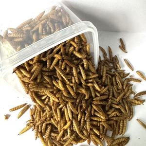Prix bon marché des larves de mouches soldats noirs séchés alimentation des poulets alimentation des tortues alimentation des reptiles - Product Image 1