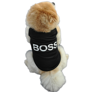 Vente chaude Style mignon respirant Polyester veste pour animaux de compagnie veste de sport d'été pour chiens avec dessin animé imprimé pour le printemps - Product Image 1