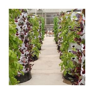 Seau à clone hydroponique en conteneur Système de brumisation aéroponique Systèmes de culture hydroponique Tour hydroponique Dreiwasse verticale - Product Image 5