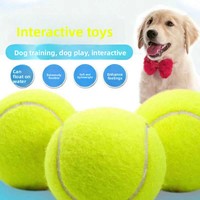 Jouet pour chien en caoutchouc élastique résistant aux morsures, balle de tennis pour chiens de grande, moyenne et petite taille - Entraînement et mastication