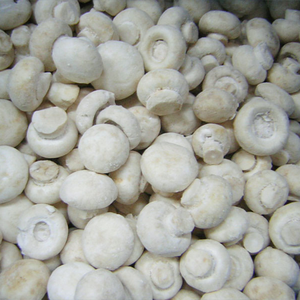 IQF fetta di fungo Champignon 100% congelato/intero/fungo bianco Shiitake fungo selvatico/coltivato - Product Image 5