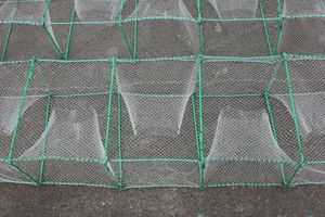 Bẫy Nông Nghiệp Với Nylon Monofilament Net Kích Thước Khung 20Cm * 35Cm Bẫy Cá Tôm Hùm - Product Image 6