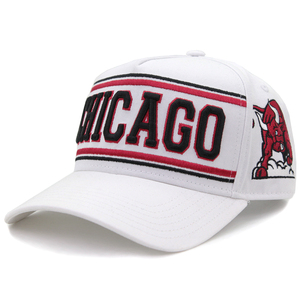 Tùy Chỉnh 5 Bảng Điều Chỉnh Đội Mỹ Trucker Mũ Bóng Chày Tùy Chỉnh 3D Thêu Logo Bông Chạy Thể Thao Gorras Mũ Bóng Chày Cho Nam Giới - Product Image 2