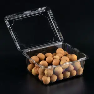 Kotak plastik bening berlubang dan dapat terurai, kotak makanan buah segar, wadah mudah terurai untuk sayuran buah