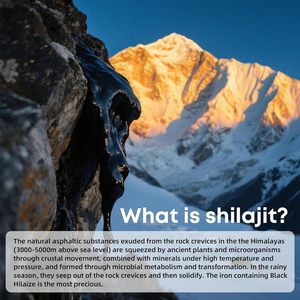 Stock entrepôt US – Expédition directe – Bâtonnets de Shilajit pur de l'Himalaya avec <span class=keywords><strong>miel</strong></span> biologique et safran, Shilajit facile à consommer, 30 bâtonnets - Product Image 4