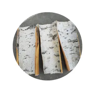 Factory Supply Natural Asian White Birch Bark Betula Platyphylla Bark