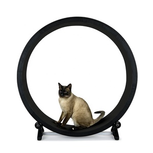 Cinta de Correr para Gatos USMILEPET, Equipo de Ejercicio Silencioso para Gatos, de PVC, Gran Venta - Product Image 1
