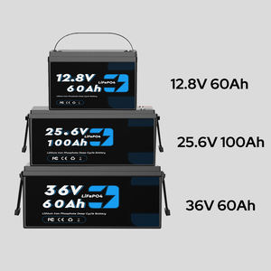 Аккумуляторная батарея LiFePO4 36В 60Ач, сертифицированная CE/<span class=keywords><strong>EMC</strong></span>, для электровелосипедов/мотоциклов с увеличением запаса хода в два раза - Product Image 6