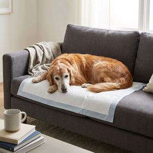 Tapis d'entraînement professionnels pour chiens, 6 couches, imperméables, anti-odeurs, jetables, pour animaux domestiques, vente directe usine, marque privée - Product Image 4