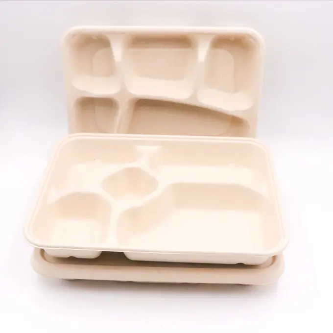 5 6 Compartment disposable bio degradable bagasse paper plate takeout food container vegetables meal fruits paper plates tray