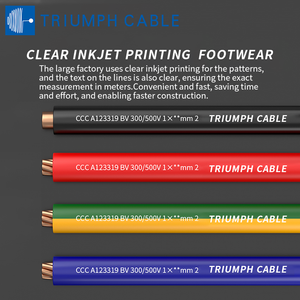 <span class=keywords><strong>สาย</strong></span>ไฟบ้าน BV H07V-K ขนาด 2.5 มม. 4 มม. 6 มม. 10 มม. 50 มม. 70 มม. 150 มม. <span class=keywords><strong>สาย</strong></span>ไฟฟ้า PVC <span class=keywords><strong>สาย</strong></span>ไฟฟ้าทองแดงตัน - Product Image 3