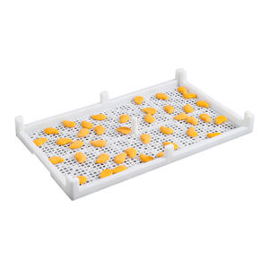 Precio competitivo de fábrica HDPE ventilado algodón de azúcar bandeja de secado de plástico con agujero de malla - Product Image 1
