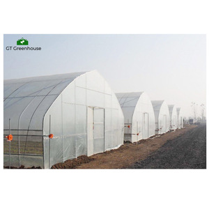 <span class=keywords><strong>Serre</strong></span> tunnel en plastique UV à simple portée de 8 m <span class=keywords><strong>x</strong></span> 40 m, 200 microns, pour les légumes - Product Image 3
