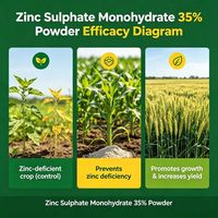 Sulfate de zinc monohydraté de qualité agricole supérieure 35% en poudre, engrais au zinc soluble dans l'eau pour lutter contre la carence en zinc
