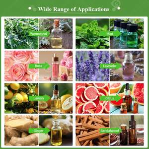 Rose Vetiver Planta de concentración Extracción Lemongrass Extractor de aceite esencial Máquina de destilación de Romero - Product Image 6