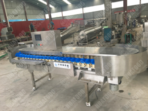 Ligne de production de lavage, cirage, calibrage et tri de kiwis - Prix - Product Image 3