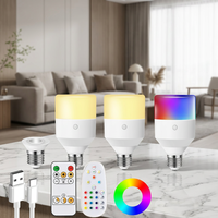 Lampe de jardin magnétique à LED en plastique sans fil, alimentée par batterie, avec télécommande, ampoule rechargeable, lumière d'urgence