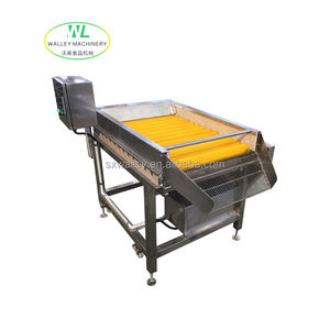 Máquina Automática de Lavado de Cepillos MXJ, <span class=keywords><strong>Precio</strong></span> de Fábrica, para Limpiar Soja/Hortalizas de Hoja/Manzanas/<span class=keywords><strong>Pulpo</strong></span>, Cepillo Extraíble - Product Image 5