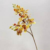 Mini Orchidée Papillon Artificielle Faite à la Main, Fleur de Luxe à Tige Unique, Fleur Séchée pour Décoration de Mariage, Maison et Accessoire Photo