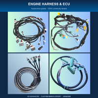 Kabel Harness Kustom Berisolasi PVC, Kawat Tembaga Berlapis Timah Fleksibel, Tahan Air IP68 0.6/5KV, Untuk Dalam/Luar Ruangan