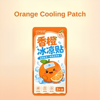 Patch de gel hydrogel fruité rafraîchissant, hypoallergénique, soulagement de la douleur, aide au sommeil, apaisant et rafraîchissant, directement de l'usine