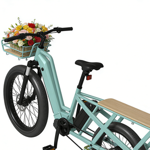 Vélo cargo électrique 750W 36V avec batterie au lithium, moteur central, pneus larges, sans balais, grande capacité - Product Image 4