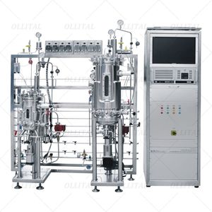 Airlift <strong>Fermenter</strong> <strong>Bioreactor</strong> Industrial Stainless Steel Pilot <strong>Bioreactor</strong> With Automatic Control System - Product Image 1