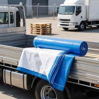 Bâche industrielle en PE 140g/m² imperméable et résistante à la pluie pour extérieur, jardin, abri pour plantes, bateau, camion, auvent, couverture pour animaux de compagnie, en rouleau