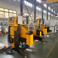 Machine d'étiquetage en moule pour bouteilles en plastique fabriquée en Chine, système d'étiquetage IML professionnel