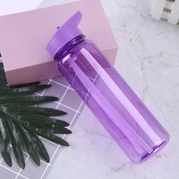 Vente en gros Bouilloire de sport en plastique de 700 ml Tasse à paille transparente personnalisée PS avec poignée