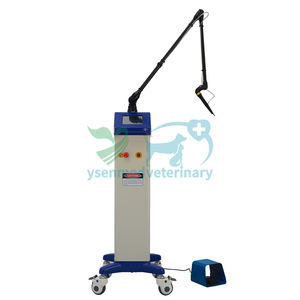 YSML020-CA Laser dokter hewan ysen, hewan peliharaan, penggunaan medis Ultrapulse CO2 terapi Laser Vet - Product Image 2