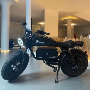 Bicicleta Eléctrica de Último Diseño con Batería de Litio Extraíble de Gran Capacidad 1500W/3000W 48V/60V 60AH, Neumáticos Anchos para Montaña, Nieve y Ciudad - Product Image 2