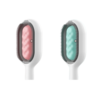 Peigne à cheveux pour <span class=keywords><strong>chien</strong></span> avec réservoir d'eau par gravité avec brosse en plastique écologique de conception de dessin animé - Product Image 1