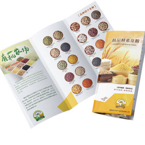 Layanan cetak katalog Flyers Promosi OEM pencetak Tri follow Flyer lipat brosur dan kartu pos kustom - Product Image 3