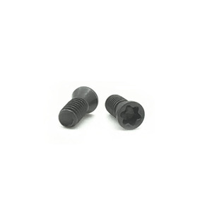 Tornillo de cabeza Torx NOMOSION M2.5*6-D3.3 para portaherramientas CNC, estándar GB - Product Image 4