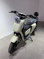 Vélo électrique tout-terrain robuste à double siège, 2 roues, grandes roues, pour personnes âgées, autonomie 20-25 km