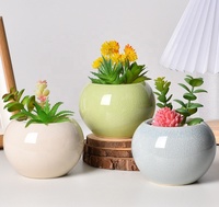Pot de fleurs en céramique blanche écologique en forme de dent, porte-stylo moderne en porcelaine, organisateur de bureau, cadeau d'affaires