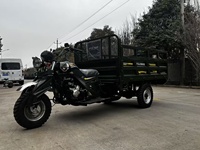 Трехколесный мотоцикл на бензине 150 куб. см с низким расходом топлива