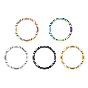 Anillo Segmentado Articulado de Acero Inoxidable 316L 16G, Aro Simple sin Costuras para Nariz, Oreja, Labio, Septum, Joyería de Moda para <span class=keywords><strong>Piercing</strong></span> - Product Image 1